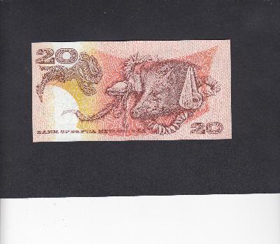 Beschrijving achterzijde: BOAR